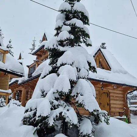 Przytulny Domek I Zakopane Esterno foto