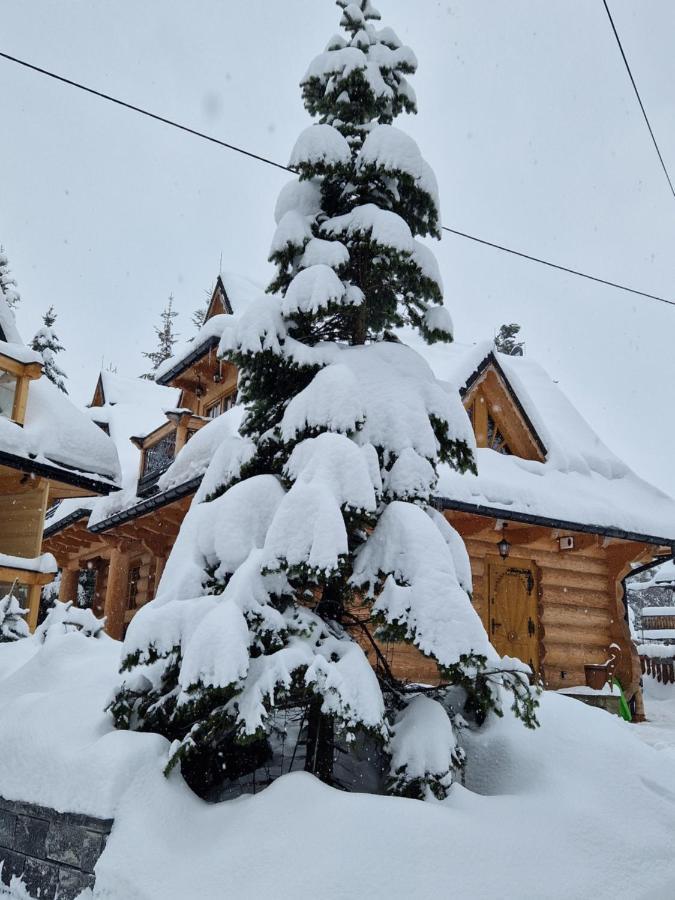 Chalet Przytulny I Zakopane